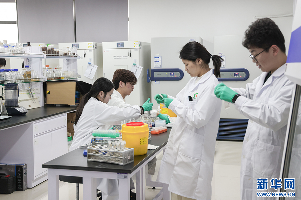 开云网站 Kaiyun开云湖北省政协常务委员彭育园:推进教育科技人才“三位一体”融合发展 不断塑造创新发展新优势(图2)