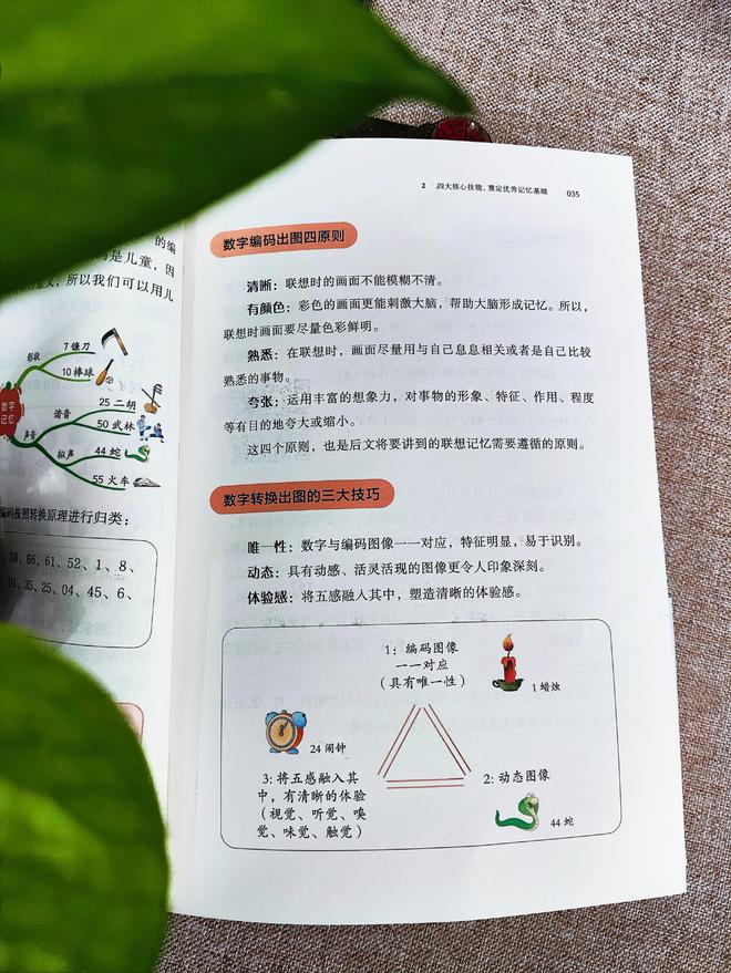 Kaiyun网址 开云记忆力不足?这种高效记忆法帮你提升力(图4)
