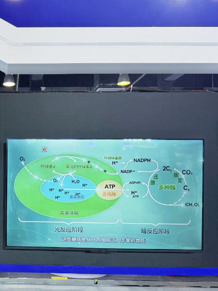 亮相2024服贸会网龙kaiyun官网以科技助力未来教育创新(图3)
